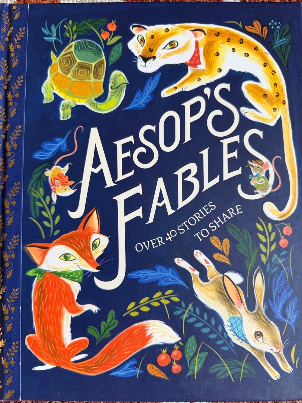 Aesop’s Fable Storybook Hard Cover